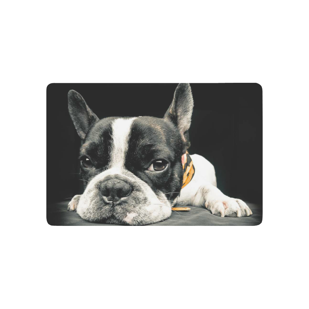 Interestprint Close Plane Of A French Bulldog Anti Slip Door Mat